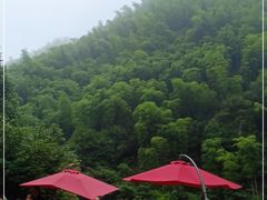 -将军关探险漂流