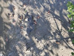 -北海金海湾红树林生态旅游区