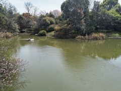 -桃花岛景观公园