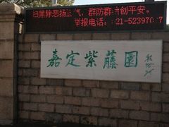 -嘉定紫藤园