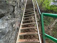-大面山