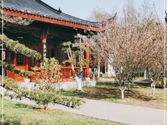 -堤角公园