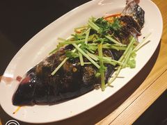 -红牌美蛙鱼头火锅(万辉国际广场店)