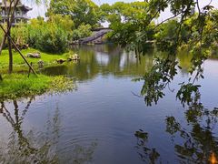 -无锡蠡湖国家湿地公园-蠡园