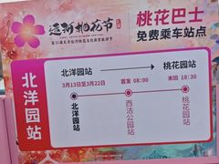 -桃花堤公园