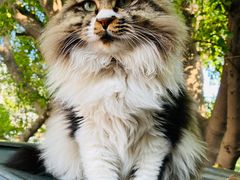 -旧雨咖啡·CoffeeFORU(黄村奥体店)