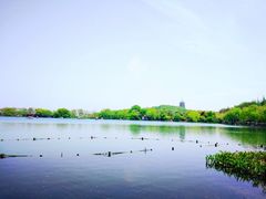 -西湖外事游船(花港观鱼码头)