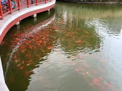 -西海子公园