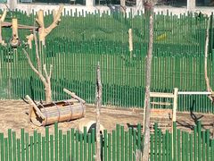 -沈阳森林动物园