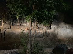 -清迈夜间动物园