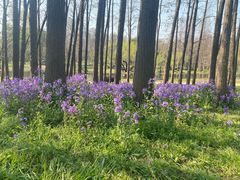-共青国家森林公园-售票处