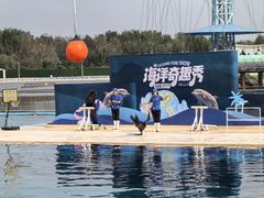 -秦皇岛乐岛海洋王国