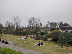 -铁山坪森林公园