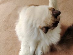 -零纪元VR体验馆·桌游(黄浦店)