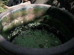 -旧天堂书店(华侨城创意文化园南山特色文化街区店)