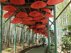 -陶祖圣境风景区