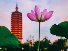 -西海子公园
