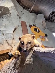 -Zoolung Zoolung动物主题公园(海信广场店)