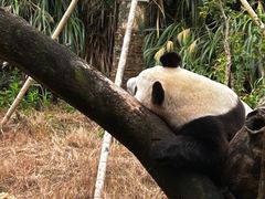 -宁波野生动物园