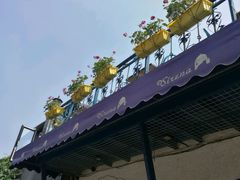 -Sirena海妖日咖夜酒