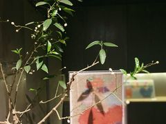 -曲廊院(东四十一条店)