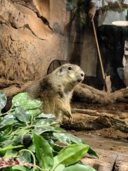 -Zoolung Zoolung动物主题公园(海信广场店)