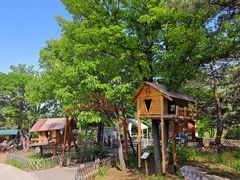 -北京西山国家森林公园