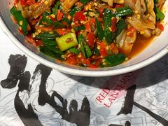 -壹盏灯(惠农店)