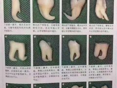 -维乐口腔(格林门诊长宁店)