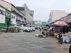 -何庄子阿米玛玛农产品批发市场