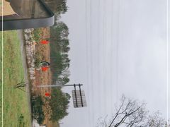 -桤木河湿地公园