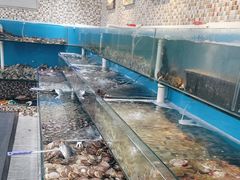 -港畔赶海蒸汽海鲜烧烤自助(仙螺岛店)