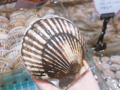 -连鹭海鲜·海肠捞饭·海胆饭(星海店)