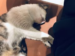 -MQ COFFEE STAND明谦(新洲店)