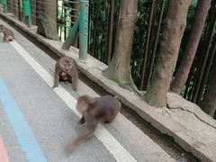 -太阳湾风景区