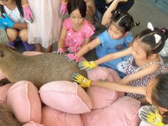 -FAIRYLAND龙族星球主题餐厅(凯丹广场店)