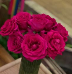 -Oasis Beauty水磨坊科技美肤中心