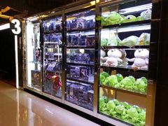 -UME影城(安贞DTS:X店)