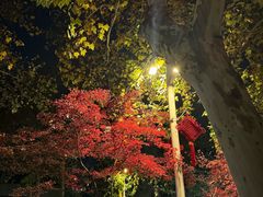 -滇香肴·云南菜蒸汽石锅鱼(云南北路店)
