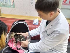 -瑞派天宁宠物医院·猫科·异宠中心
