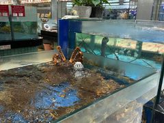 -海天一色海景自助餐厅(西港花园店)