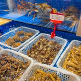 南城新开海鲜店💥也是太绝了吧🐠