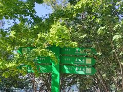 -长白岛森林公园