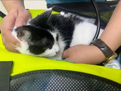-美联众合动物医院·24h京西诊疗中心