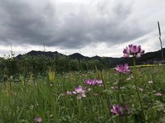 -泽雅七瀑涧景区