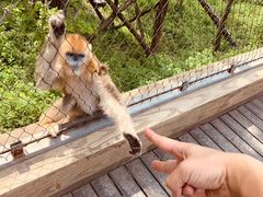 -哈尔滨北方森林动物园