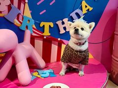 -百好乐宠物友好餐厅(朝外大街店)