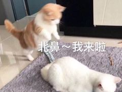 -觅山云南菜(泊富ICITY店)