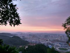 -阿水土鸡(远光店)