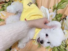 -哈尼爱宠·宠物生活会馆